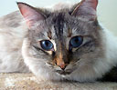 <click to see her page>